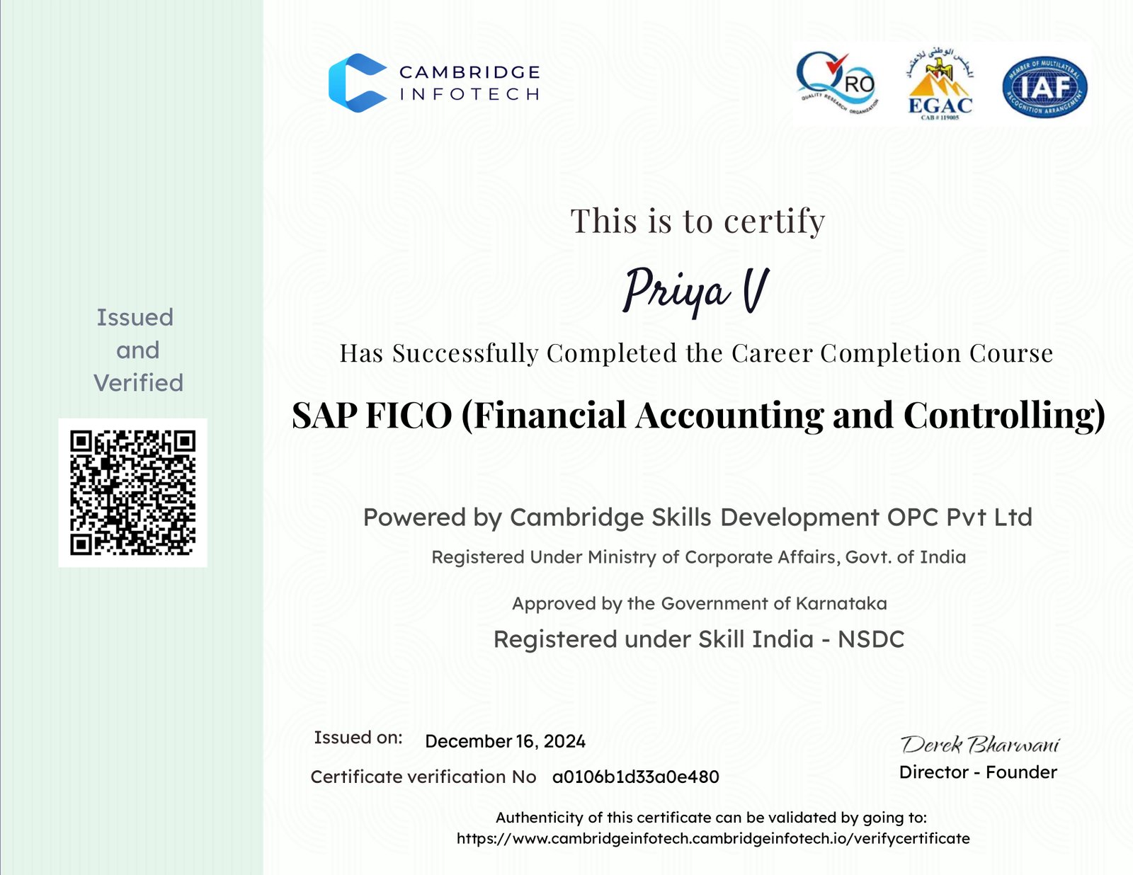 SAP FICO (Financial Accounting and Controlling)